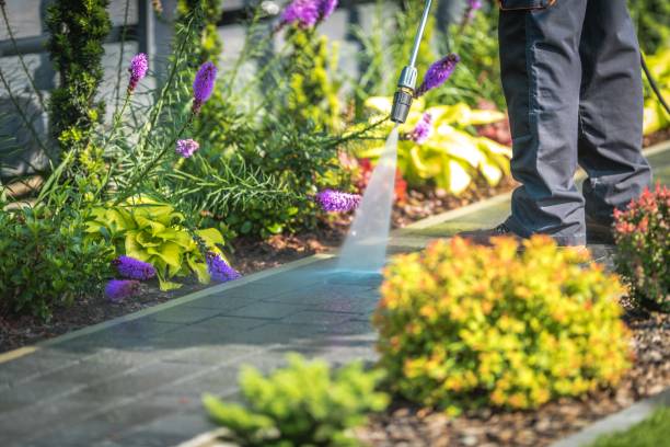 Best Driveway Pressure Washing  in Winder, GA